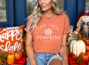 Sunday Funday 09/10- OPEN NOW