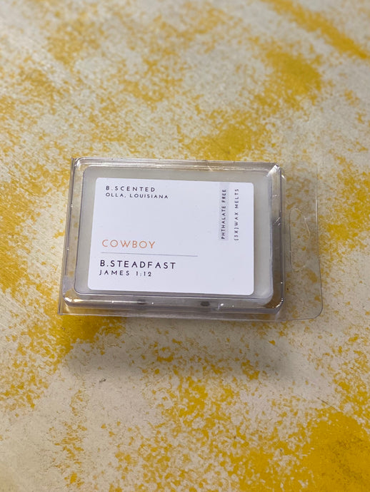 B. Scented Wax Melts