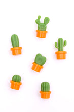 Load image into Gallery viewer, Plant Lover Cacti Magnet Set